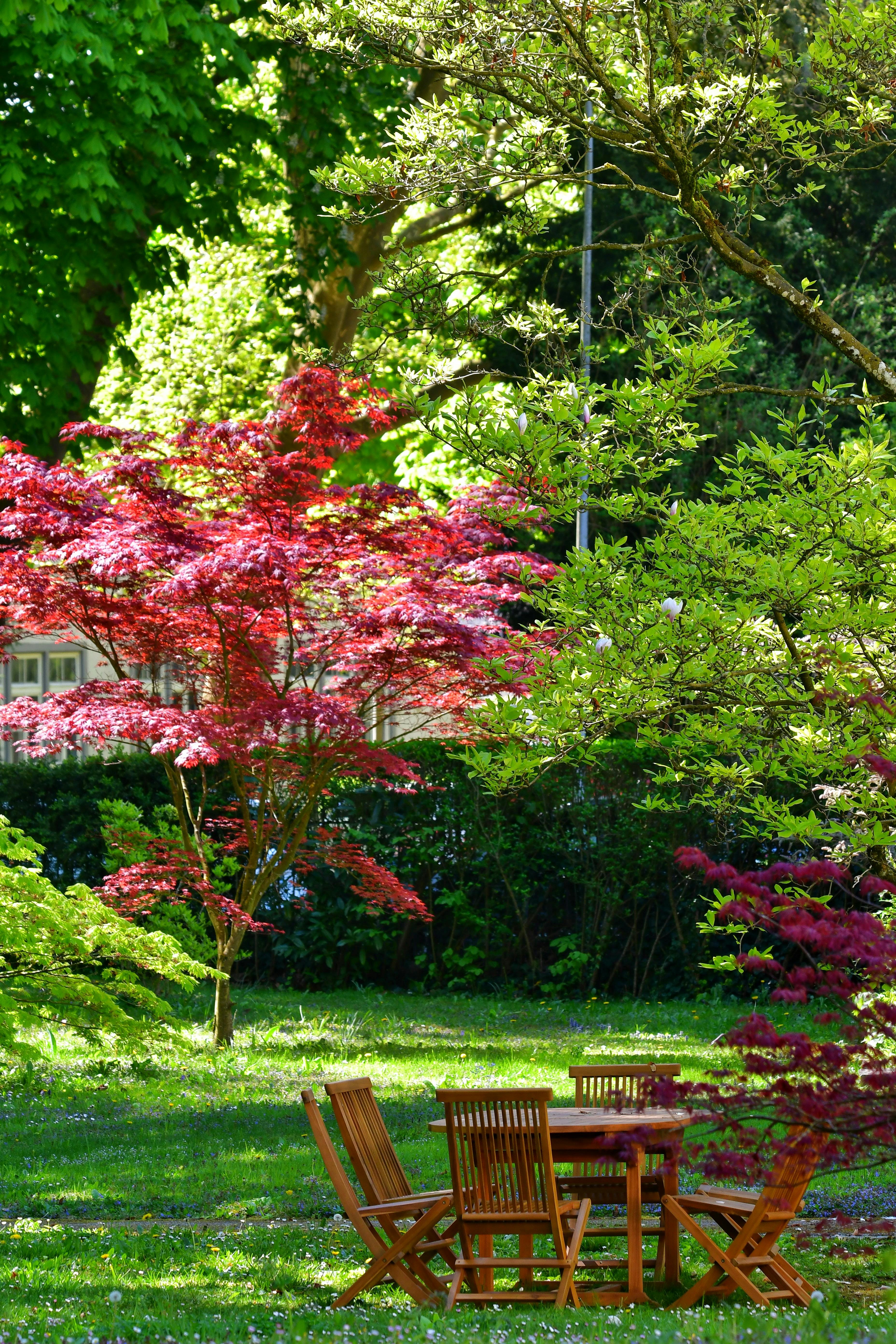 Jardin entretenu Hush Garden Saint-Just-Saint-Rambert