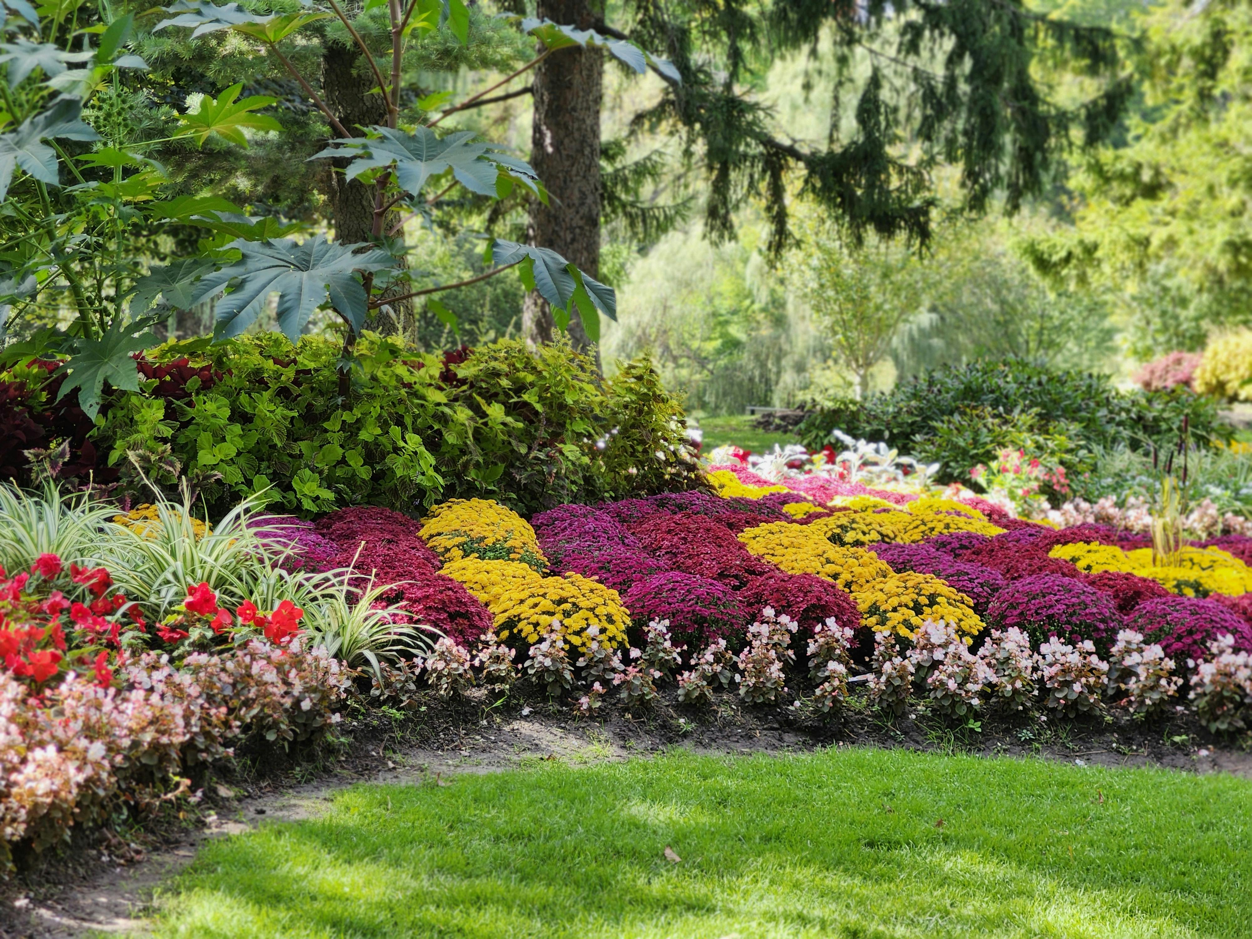 Entretien massifs jardin Saint-Just-Saint-Rambert Hush Garden